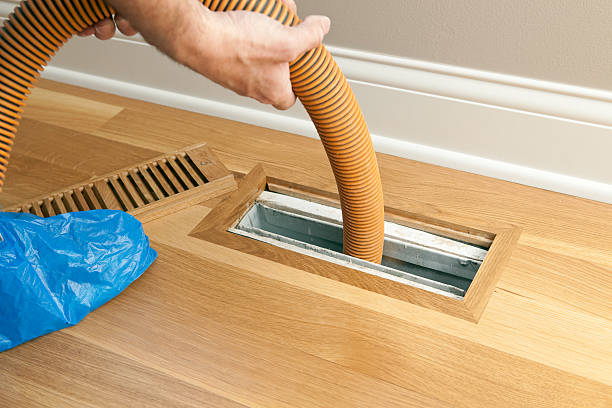 Best Professional Duct Cleaning Services  in Boulevard Gardens, FL